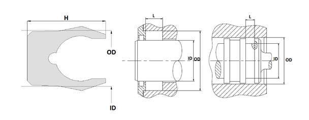 PRS19B