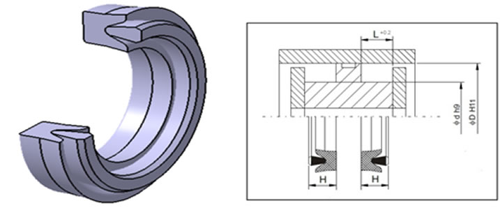 pn11