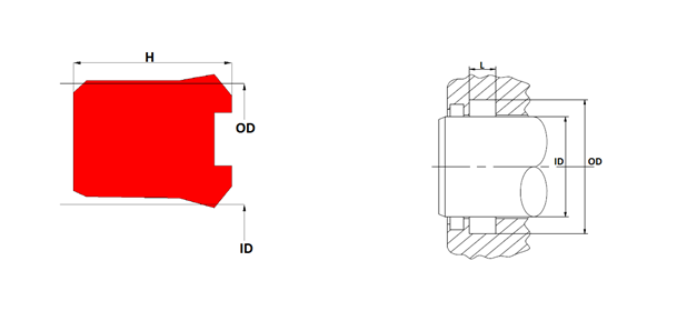 rs08